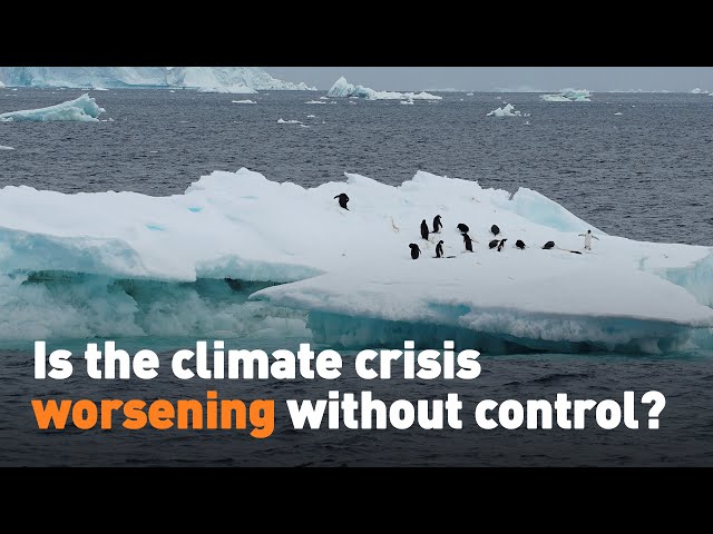 ⁣Is the climate crisis worsening without control?