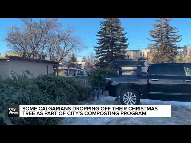 ⁣Where to recycle your Christmas tree in Calgary