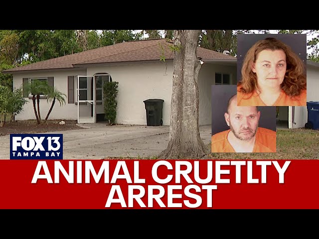 ⁣Owners of Sarasota dog training business arrested for animal cruelty