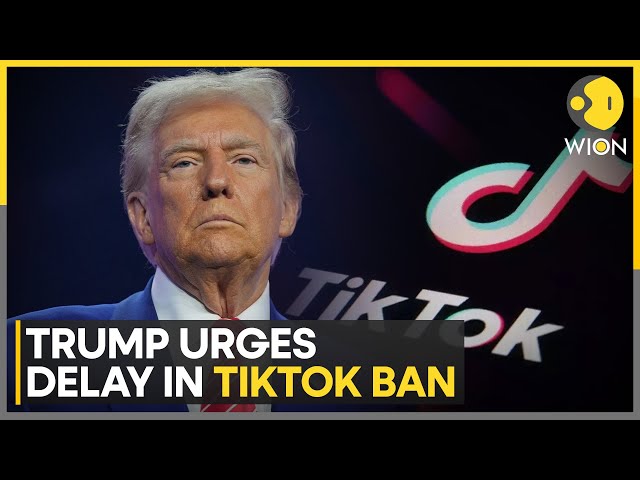 ⁣Trump Urges Supreme Court To Hit Pause On Looming TikTok Ban | World News | WION