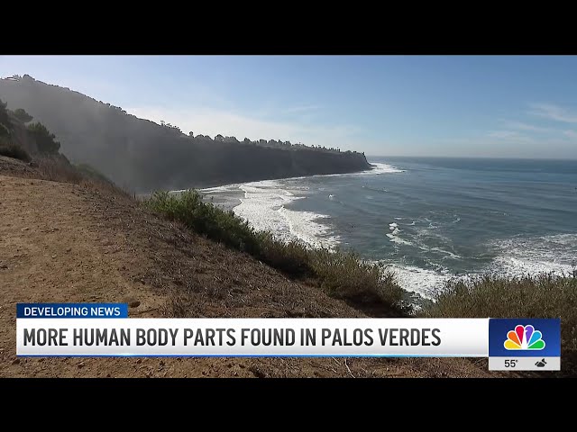 ⁣Beachgoers discover more human body parts in Palos Verdes