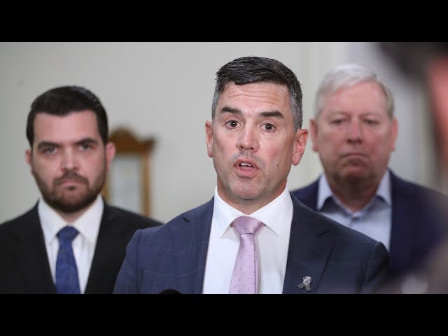 ⁣Victoria’s Liberal Party will ‘no doubt’ unite under Brad Battin’s leadership