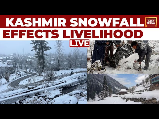 ⁣Heavy Snowfall Disrupts Life In Kashmir LIVE | Jammu-Srinagar Highway Closed | Tourists Trapped News