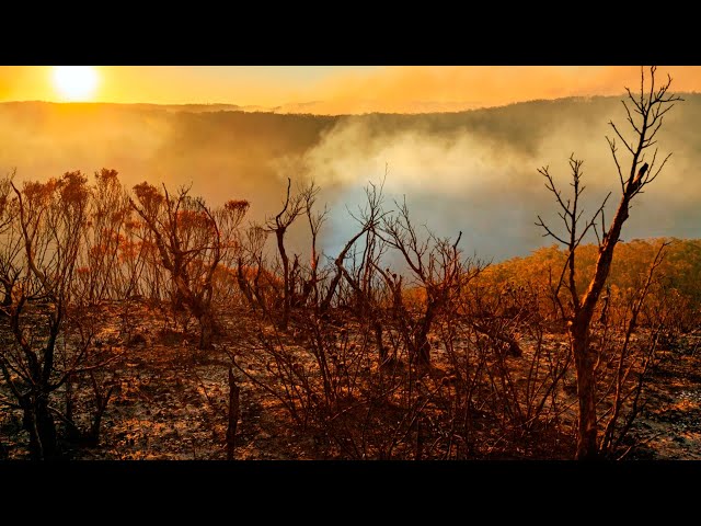 ⁣Bushfire warning issued for parts of Western Australia