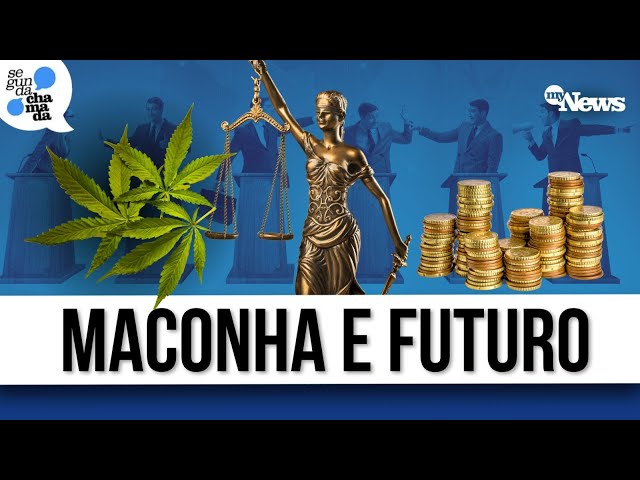 ⁣MACONHA NO BRASIL: DEBATE, MITOS E REALIDADE