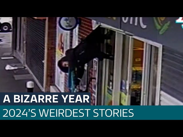 ⁣The most bizarre stories of 2024 #itvnews