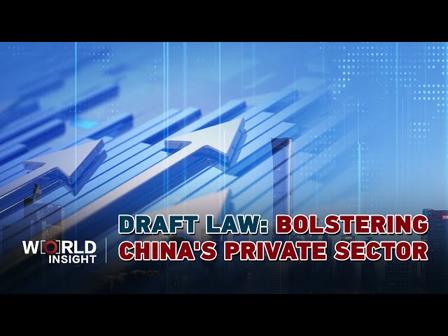 ⁣A new legislation to bolster China's private sector in 2025