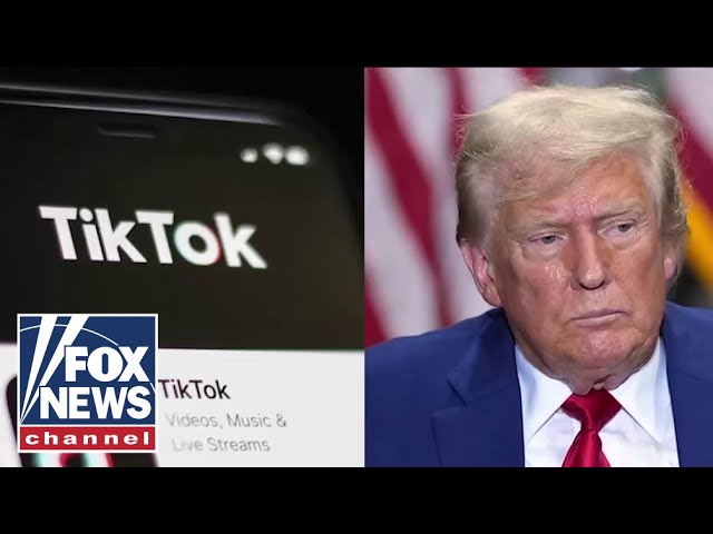 ⁣We need to give Trump time to deal with TikTok: Silicon Valley pioneer