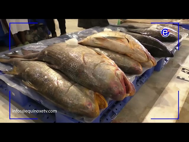 ⁣DOUALA: INAUGURATION OF THE NEW YOUPWE LANDING PLACE AND FISH MARKET - EQUINOXE TV