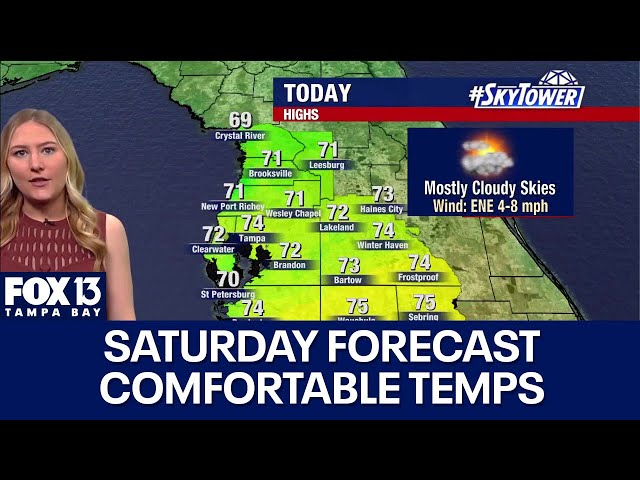 ⁣Tampa weather | Comfortable temperatures