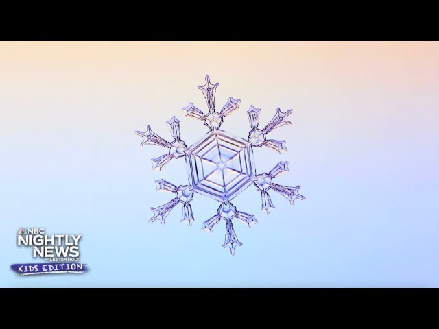 ⁣Did you know snow is made by unique ice crystals and no two are alike? | Nightly News: Kids Edition