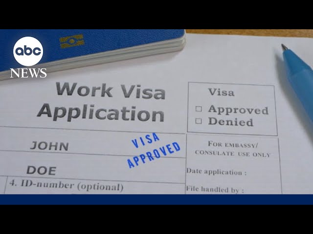 ⁣H-1B visa controversy sparks MAGA infighting