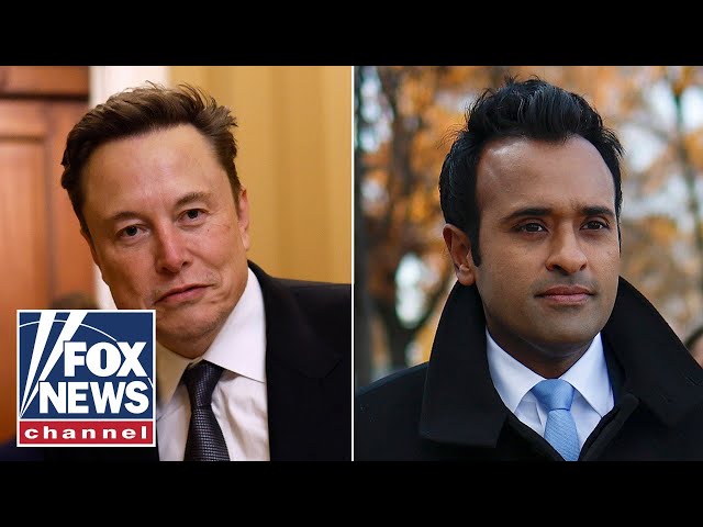 ⁣Musk, Ramaswamy spark debate over H-1B visas: ‘Think of this like a pro sports team’