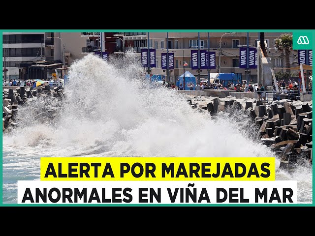 ⁣Videos muestran anormales marejadas en Viña del Mar: ¿En qué sectores tendrán mayor intensidad?