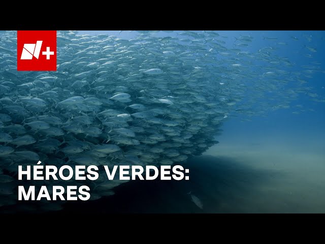 ⁣Héroes Verdes EP5 - Mares | Nmas