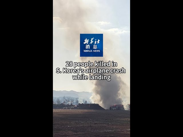 ⁣Xinhua News | 28 people killed in S. Korea's airplane crash while landing