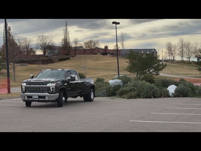 ⁣Where and how to recycle live Christmas trees in Colorado