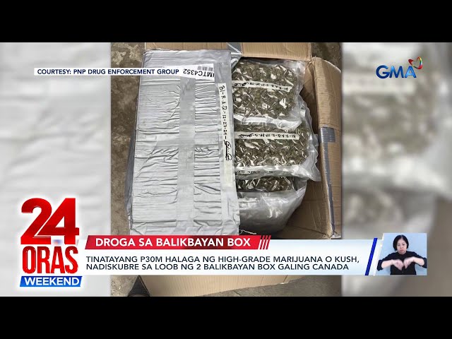 ⁣Tinatayang P30M halaga ng high-grade marijuana o kush, nadiskubre sa loob ng 2... | 24 Oras Weekend