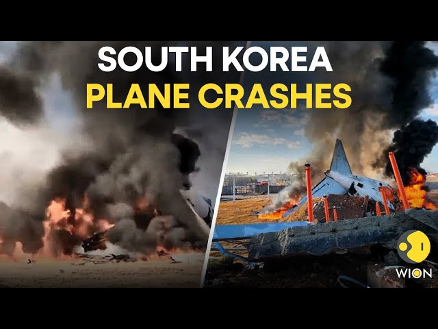 ⁣South Korea Plane Crash LIVE: All 181 Lives At Stake, What Led To The Jeju Air Aircraft Accident?