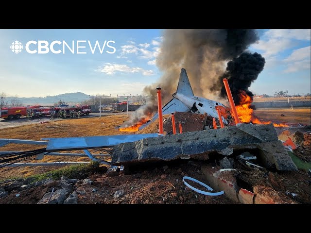 ⁣Plane bursts into flames after skidding off runway at South Korean airport