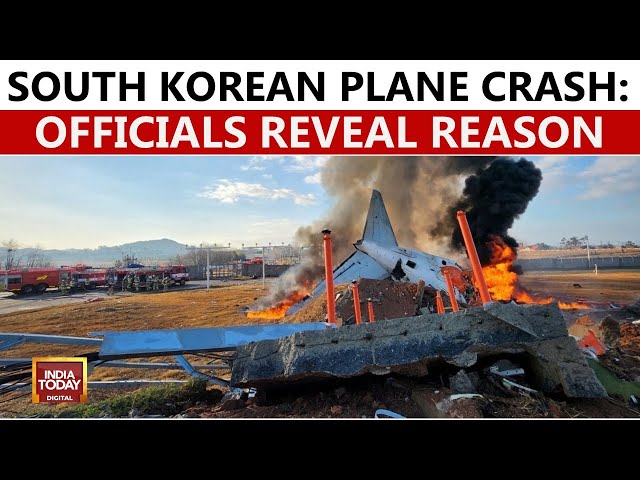 ⁣South Korean Plane Crash: Emergency Official Says Bird Strike Or Weather May Have Caused Deadly