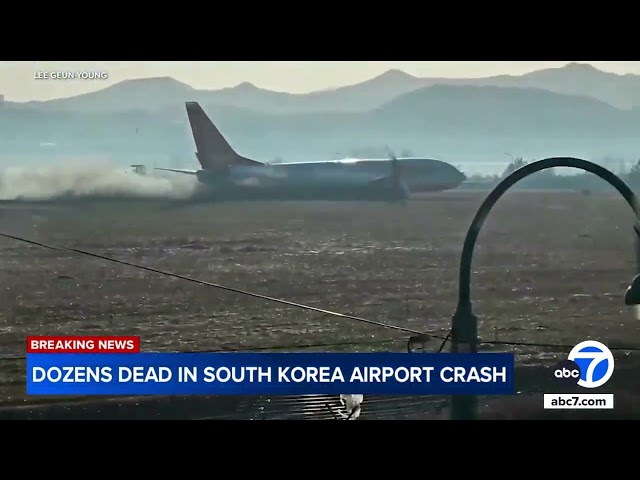 ⁣Plane burst into flames after skidding off runway at an airport in South Korea, killing at least 124