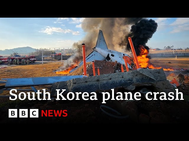 ⁣South Korea plane crash kills 179 people | BBC News