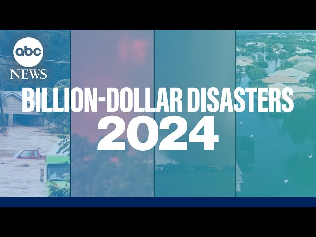 ⁣Billion-dollar disasters of 2024