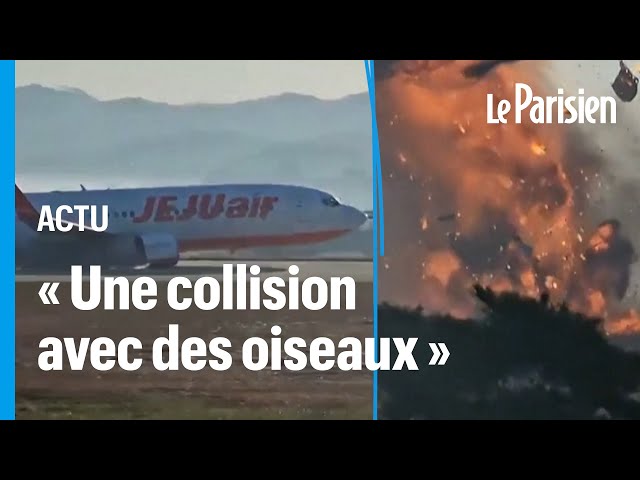 ⁣Crash d'avion en Corée du Sud : ce que l'on sait de l'accident