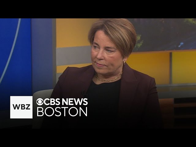 ⁣What are Gov. Maura Healey's priorities for Massachusetts in 2025?