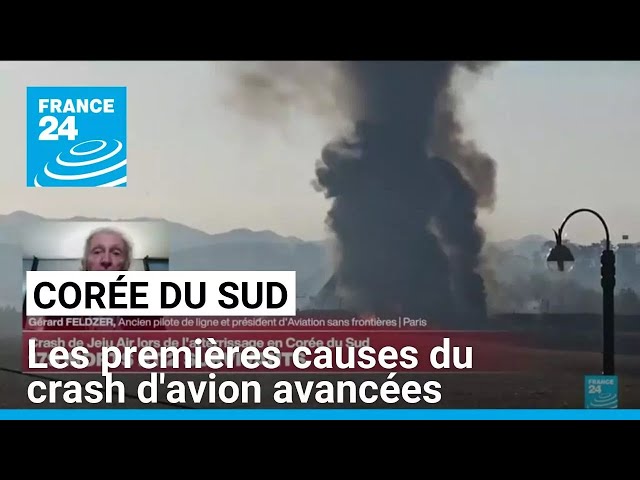 ⁣Corée du Sud : les premières causes du crash d'avion avancées • FRANCE 24