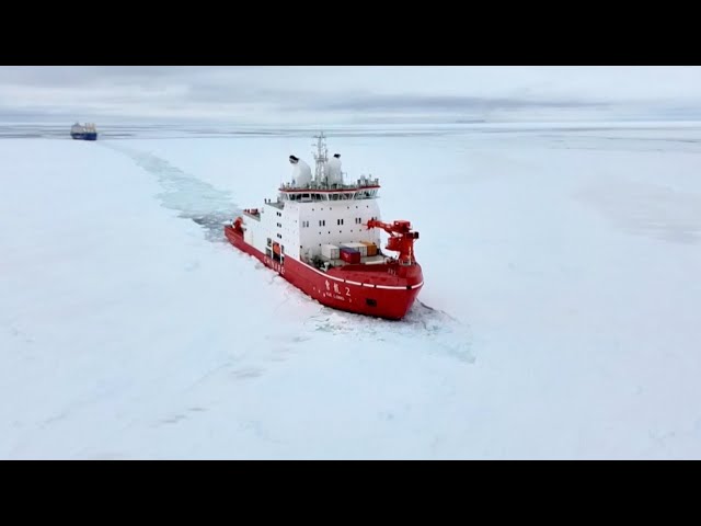 ⁣Chinese expedition ships start unloading after reaching Qinling Station in Antarctica