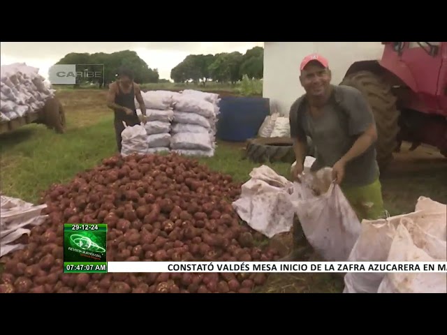 ⁣Cuba: Agricultores avileños comprometidos con la producción de alimentos