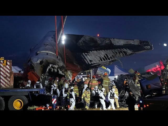 ⁣El accidente aéreo en Corea del Sur pudo deberse al impacto de un pájaro, según un funcionario