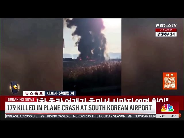 ⁣South Korea plane crash claims 179 lives