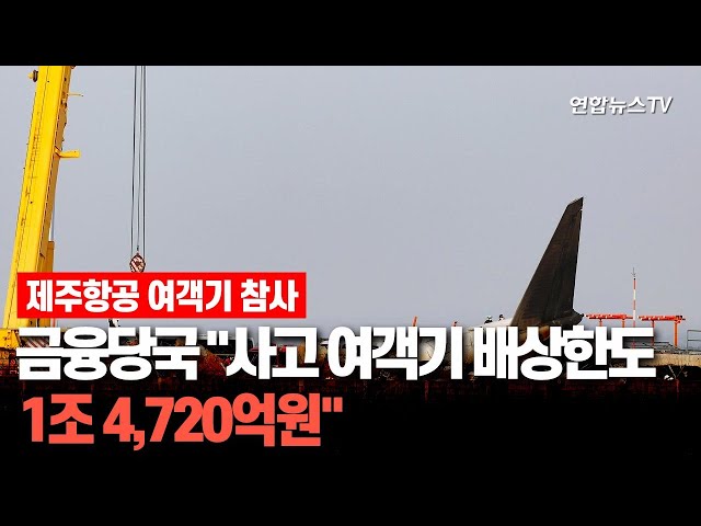 ⁣금융당국 "사고 여객기 배상한도 1조4,720억원" / 연합뉴스TV (YonhapnewsTV)