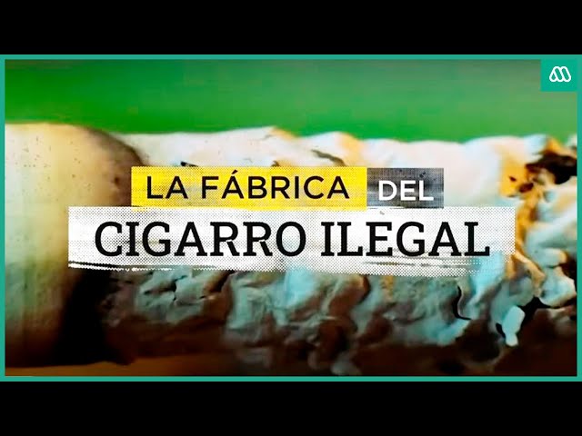 ⁣Poderosa banda falsificaba cigarrillos: Se incautaron más de 90 mil productos