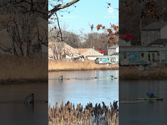 ⁣Woman helps rescue man who fell into creek