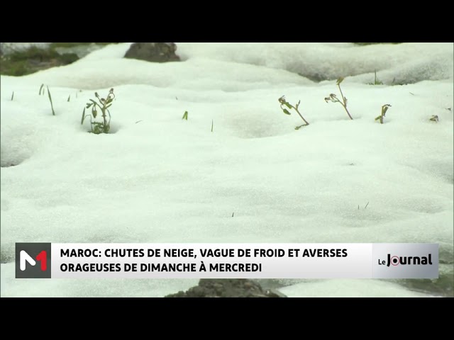 ⁣Alerte météo : Chutes de neige, vague de froid et averses orageuses dans plusieurs provinces