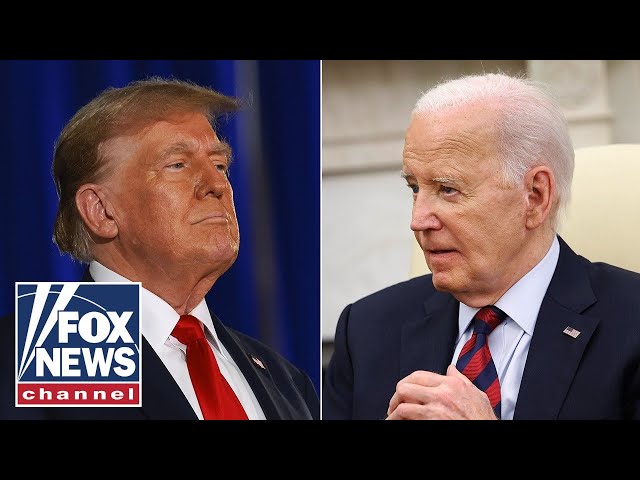 ⁣'No way' Biden could have defeated Trump, GOP strategist says: 'Barely able to serve&