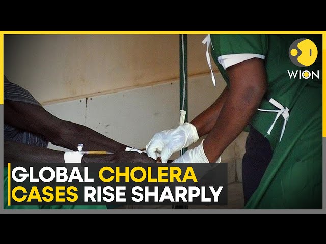 ⁣Cholera Cases Spike After Years Of Control | World News | WION