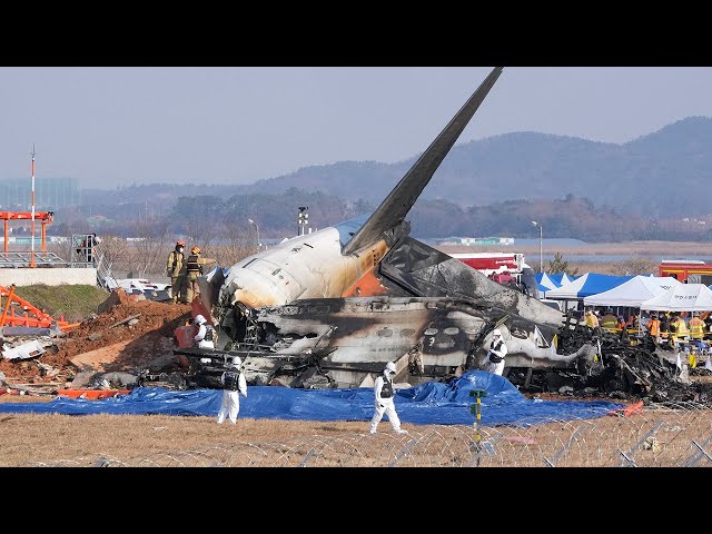 ⁣179 dead, 2 rescued after South Korea plane crash