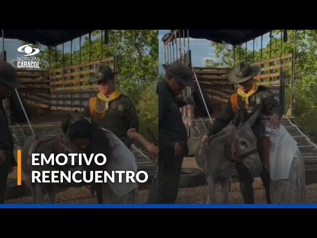 ⁣Con lágrimas de alegría, propietarios del burro Medina lo recibieron de nuevo en su hogar