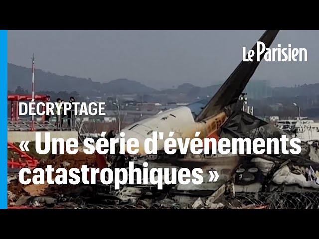 ⁣Crash d'avion en Corée : des oiseaux sont-ils responsables du drame ?