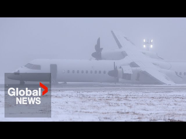 ⁣Aviation expert analyzes Air Canada malfunction, South Korea and Kazakhstan plane crashes