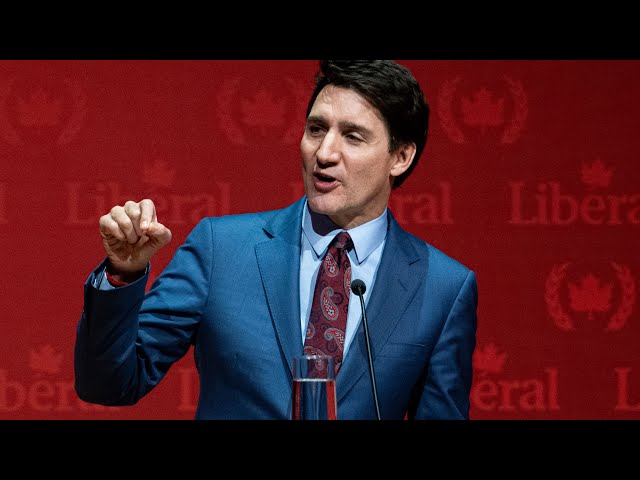 ⁣Trudeau’s future ‘an urgent matter’ amid Trump tariffs: Reid