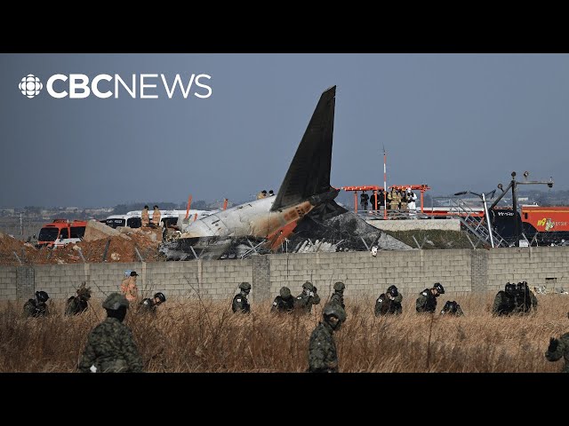 ⁣South Korean authorities investigate cause of deadly plane crash