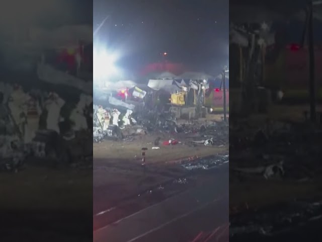 ⁣Plane crashes and burns while landing in South Korea, killing 179