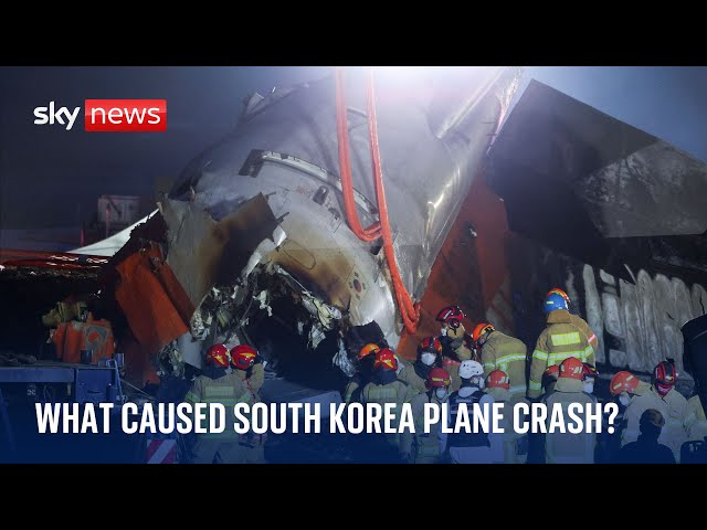 ⁣What caused South Korean plane to crash?