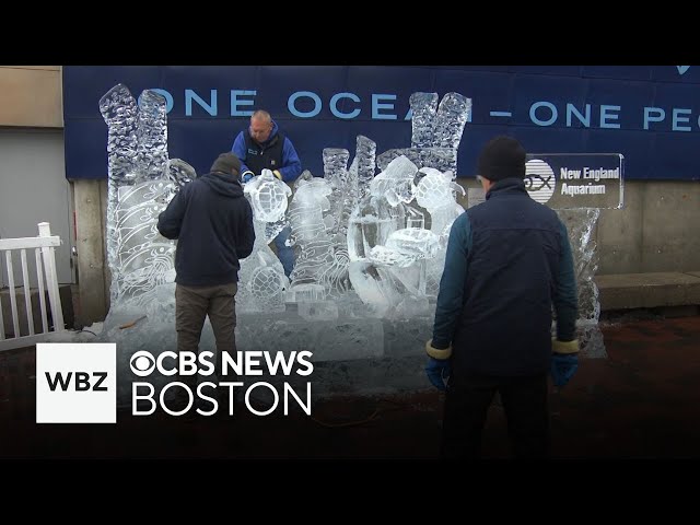 ⁣First Night in Boston prep underway as ice sculptures take shape outside aquarium